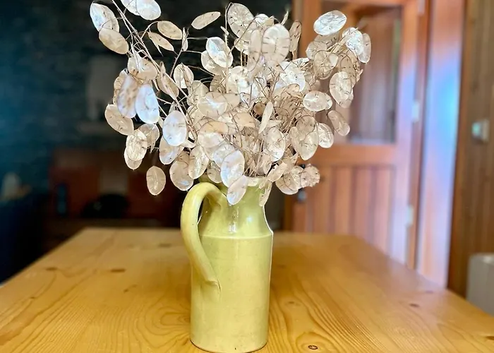 Casa de Campo Casa Da Branda St.antónio