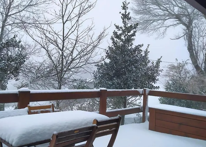 Casa Da Branda St.antónio * Branda de Santo António