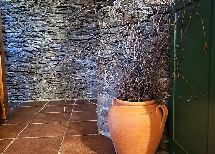 Casa Da Branda St.antonio 乡村民宿 Branda de Santo António