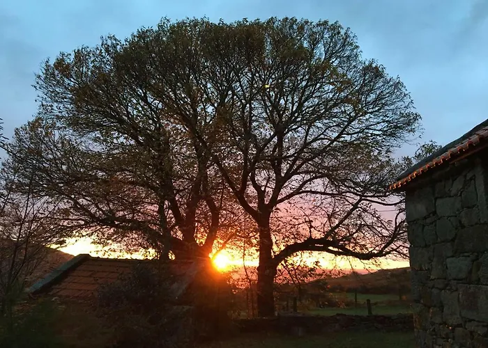 Casa de Campo Casa Da Branda St.antónio Branda de Santo António