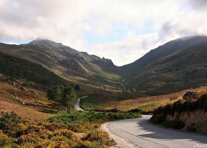 Casa Da Branda St.antónio Branda de Santo António