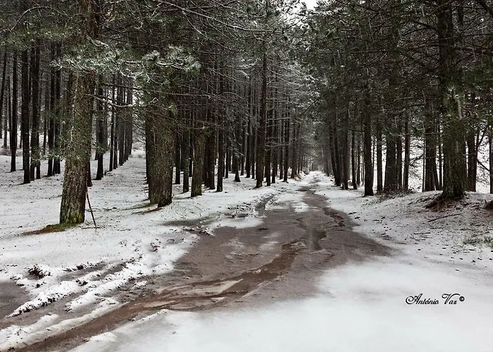 Casa Da Branda St.antonio 乡村民宿 Branda de Santo António