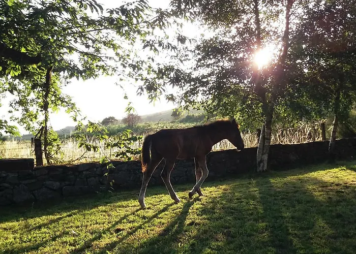 Casa Da Branda St.antónio